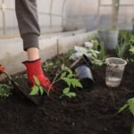 Gartenarbeit im Frühling